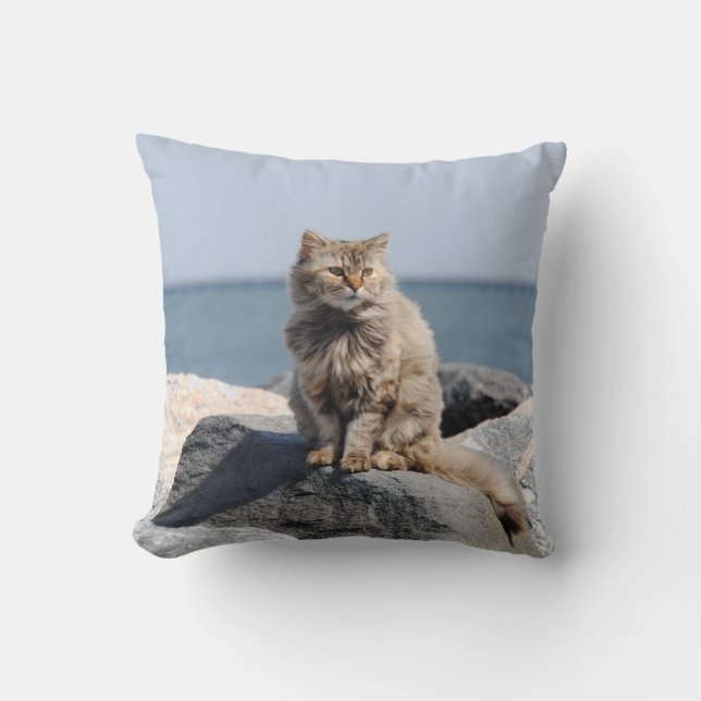 Cojín Decorativo Windswept Cat by the Sea Cute Photo (Anverso)