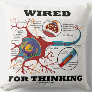 Cojín Decorativo Wired Para Pensar La Sinapsis De Neuronas Neuropsi