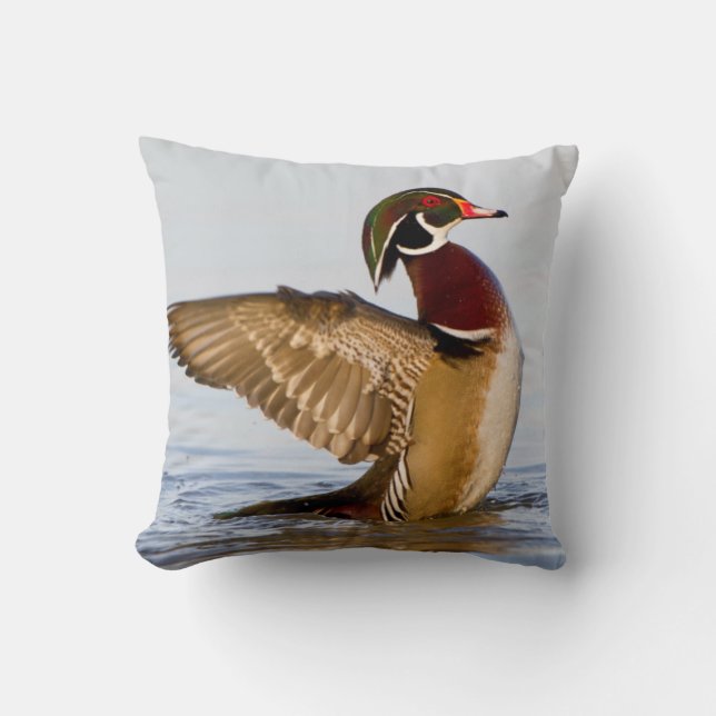 Cojín Decorativo Wood Pato alitas aleteadas masculinas en humedales (Anverso)