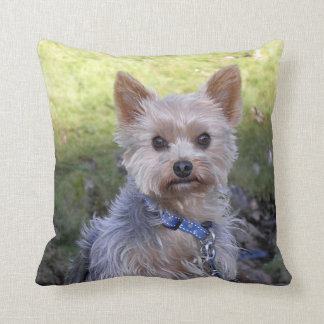 Cojín Decorativo Yorkie con el cuello azul