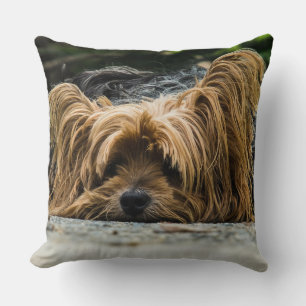 Cojín Decorativo Yorkshire Closeup