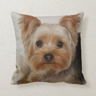 Cojín Decorativo Yorkshire Terrier