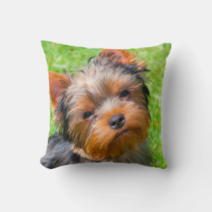 Cojín Decorativo Yorkshire Terrier mirando hacia arriba