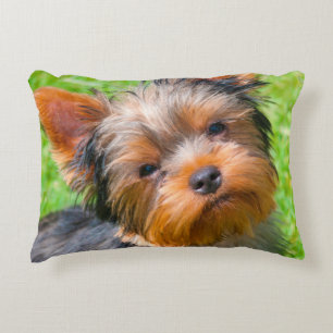 Cojín Decorativo Yorkshire Terrier mirando hacia arriba