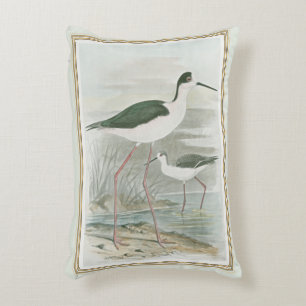 Cojín Decorativo Zancos Negro-Necked por el agua