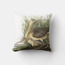 Zarapito longirrostro por Audubon