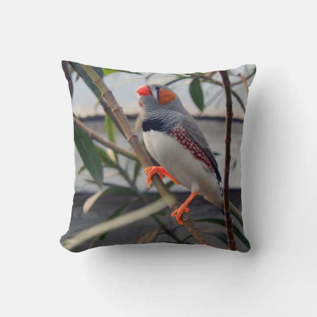 Cojín Decorativo Zebra Finch (Anverso)