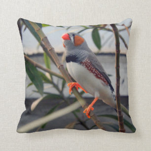 Cojín Decorativo Zebra Finch