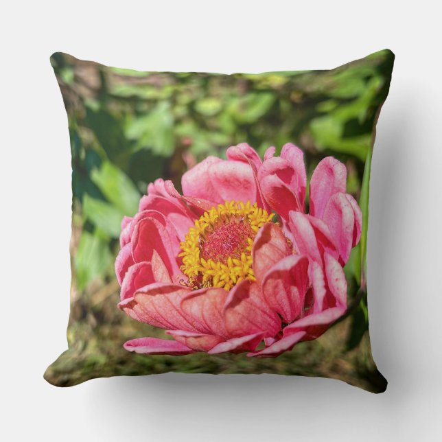 Cojín Decorativo Zinnia rosa con centro amarillo (Anverso)