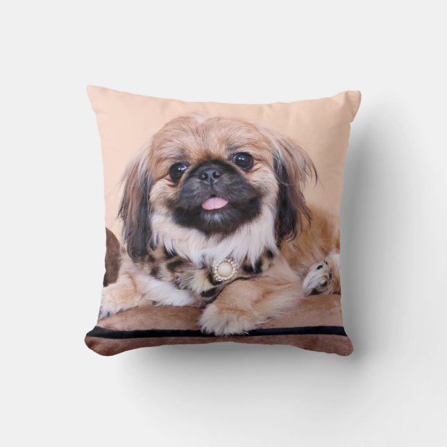 Cojín Decorativo Zoe - Pekingese (Anverso)
