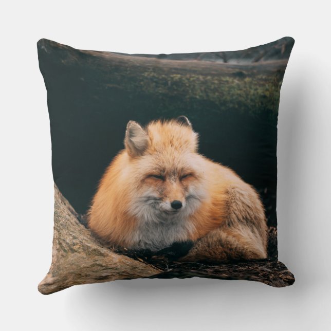 Cojín Decorativo Zorro Rojo Dormiendo (Reverso )