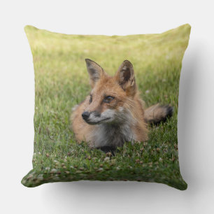Cojín Decorativo Zorro Rojo En Una Cama De Trébol 