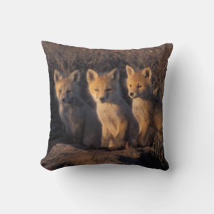 Cojín Decorativo zorro rojo, Vulpes vulpes, crías