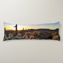 Desierto Sonorano De Arizona Sunset Con Cactus De 