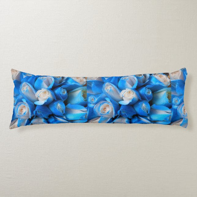 Cojín Diemudis (Anverso)