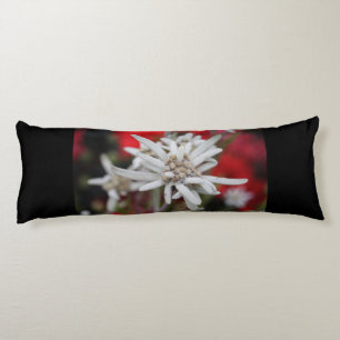 Cojín Edelweiss Leontopodium nivale