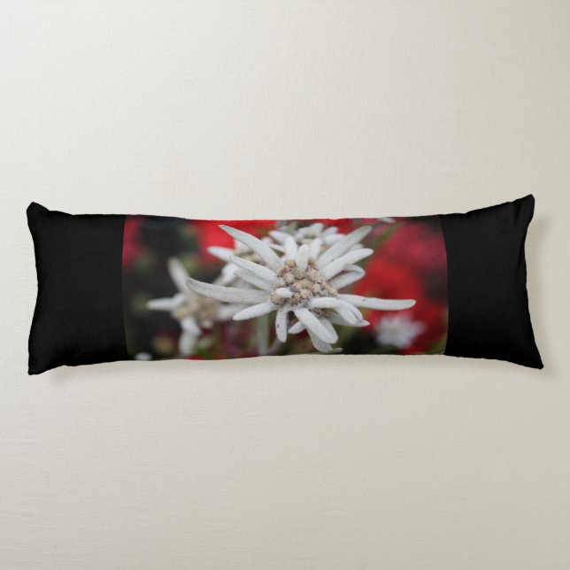 Cojín Edelweiss Leontopodium nivale (Reverso)