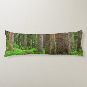 Cojín Escenario de bosque antiguo