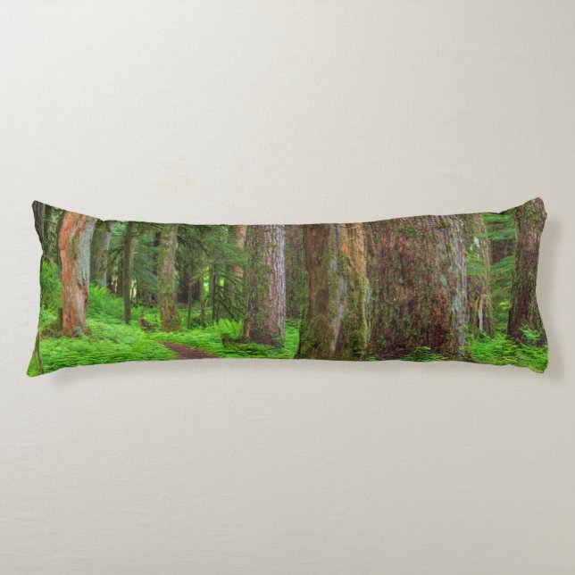 Cojín Escenario de bosque antiguo (Anverso)