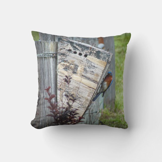 Cojín exterior (Anverso)