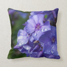 Cojín flor púrpura con el rocío de la mañana