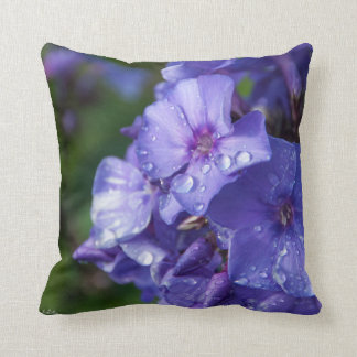 Cojín flor púrpura con el rocío de la mañana