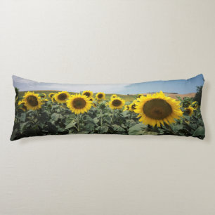 Cojín Francia Provenza, vista de campo de girasoles