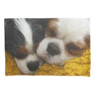 Cojín Funda de almohada arrogante del perro de aguas de