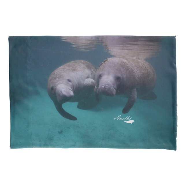 Cojín Funda de almohada de 2 amigos del Manatee (Anverso)