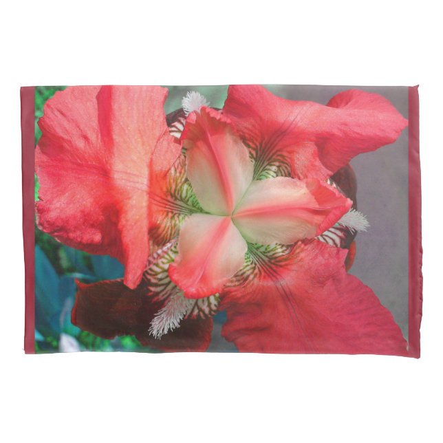 Cojín Funda de almohada de flor de Iris rojo (Anverso)