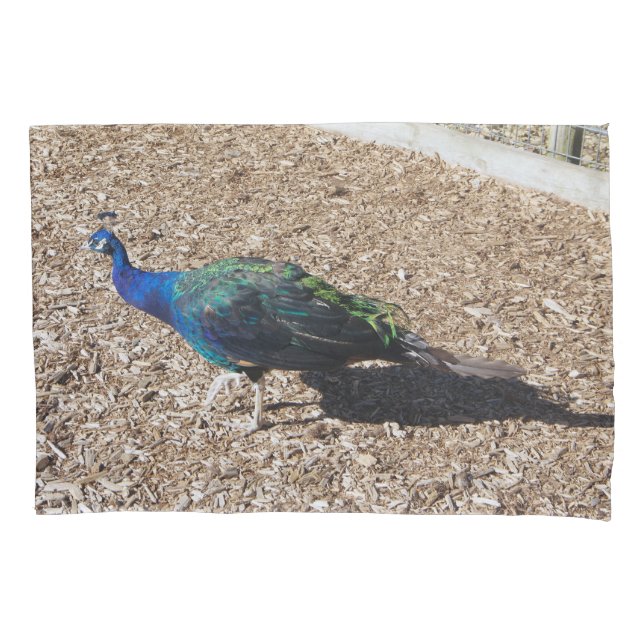 Cojín Funda de almohada de Pavo real azul indio (Anverso)