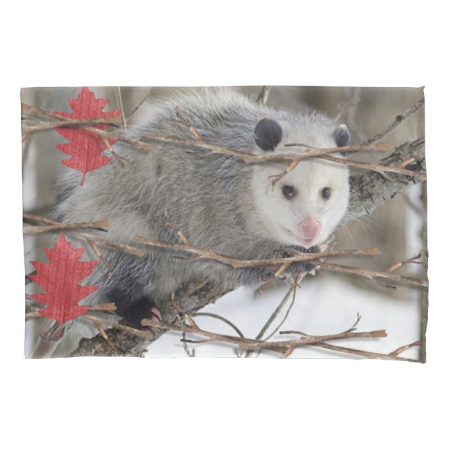 Cojín Funda de almohada Naturaleza de Opossum (Anverso)