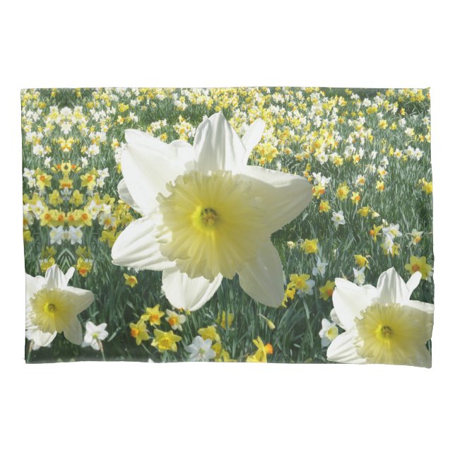Cojín Funda de almohadas de campo Daffodils Spring Flowe (Anverso)