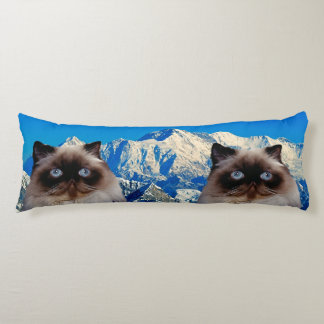 Cojín Gato Himalayo