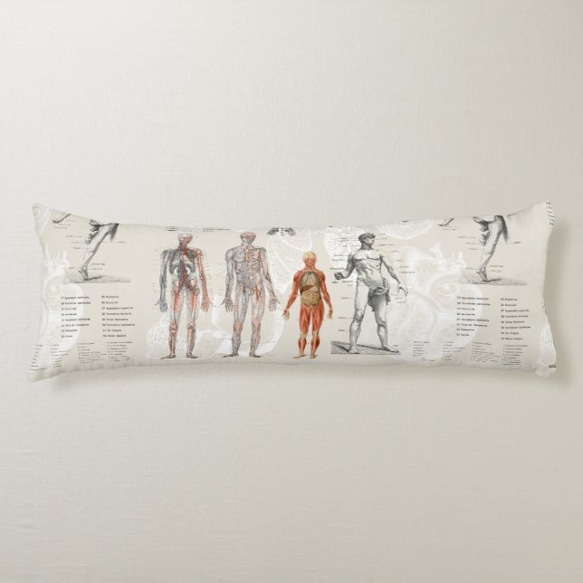 Cojín Ilustraciones de la biología de la anatomía veneci (Anverso)