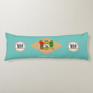 Cojín Indicador Delaware