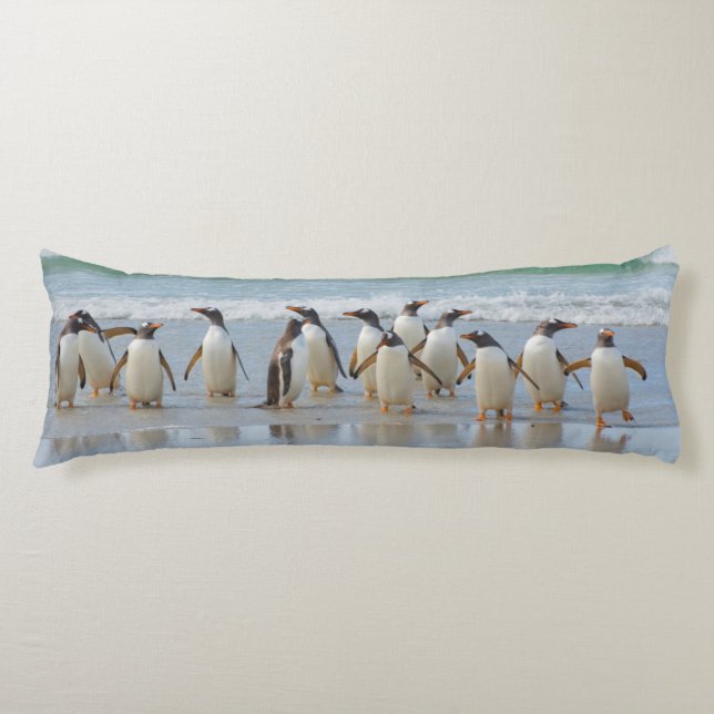 Cojín Islas Malvinas. Isla Saunders. Gentoo (Anverso)