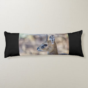 Cojín Klipspringer Portrait