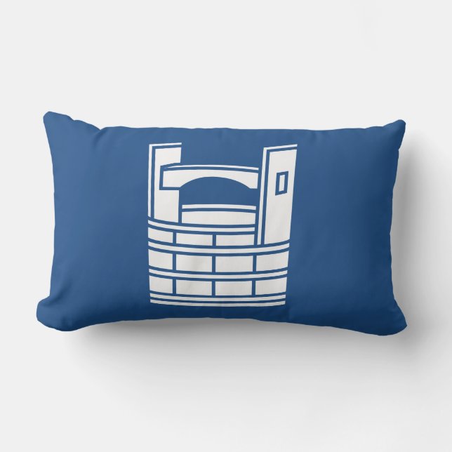 COJÍN LUMBAR 手桶 (Anverso)