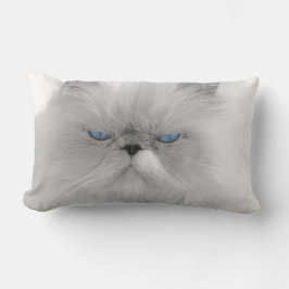 Cojín Lumbar Abuelo malvado del gato gruñón