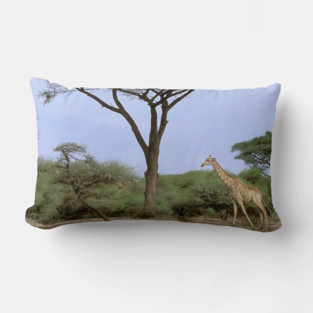 Cojín Lumbar África, Botswana, Delta del Okavango. Sur (Anverso)