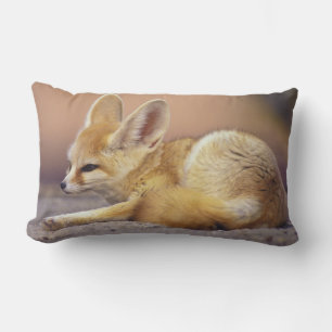 Cojín Lumbar África del Norte. Fennec Fennecus zerda)