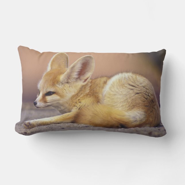 Cojín Lumbar África del Norte. Fennec Fennecus zerda) (Anverso)