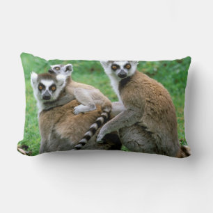 Cojín Lumbar África, Madagascar, Antananarivo, Tsimbazaza