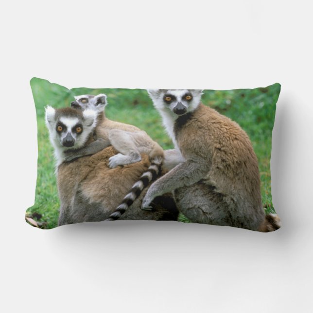 Cojín Lumbar África, Madagascar, Antananarivo, Tsimbazaza (Anverso)