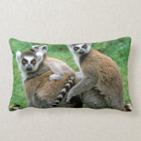 África, Madagascar, Antananarivo, Tsimbazaza