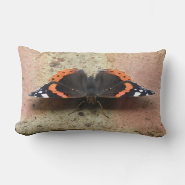 Cojín Lumbar Almirante Rojo Mariposa Pillow (Anverso)