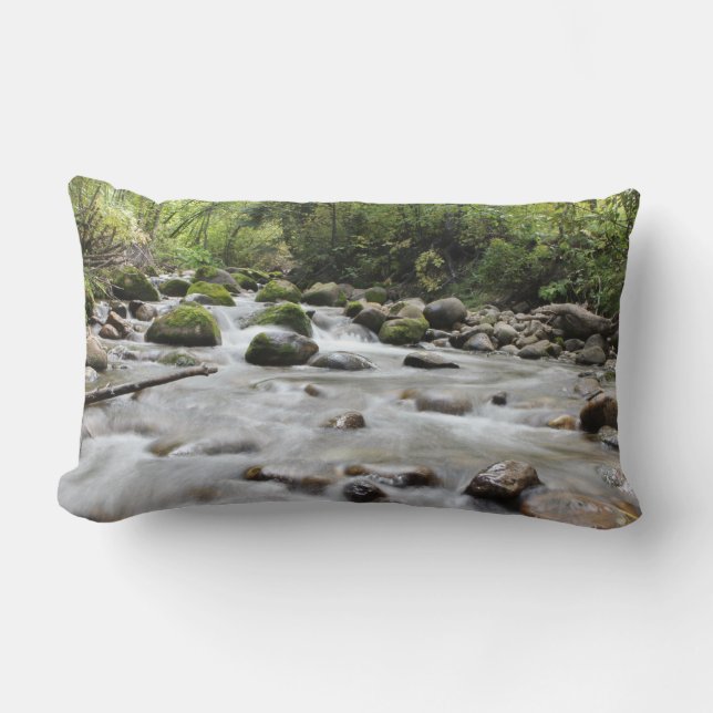 Cojín Lumbar almohadillas de lanzamiento de Forest Stream (Anverso)