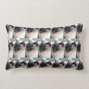 Cojín Lumbar Aloof Siamese Cat Lumbar Pillow