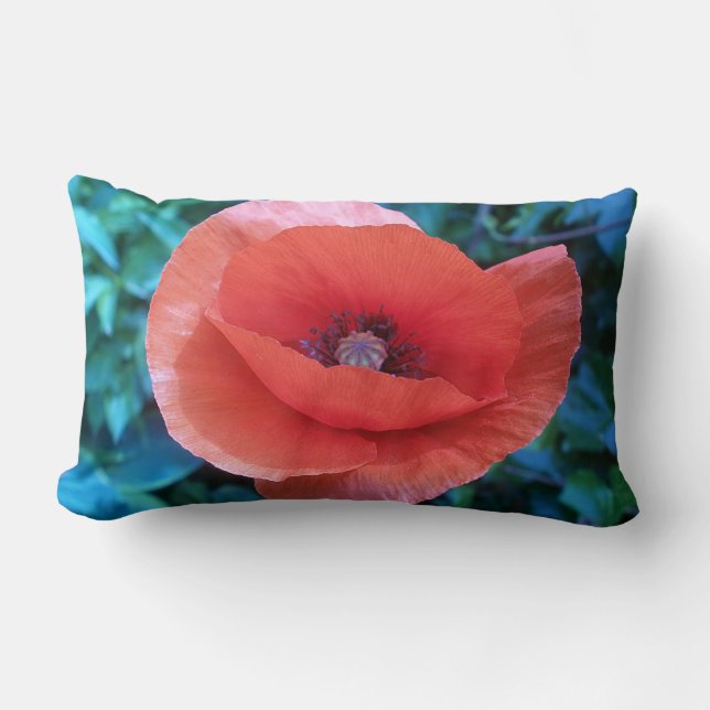 Cojín Lumbar Amapola roja (Anverso)